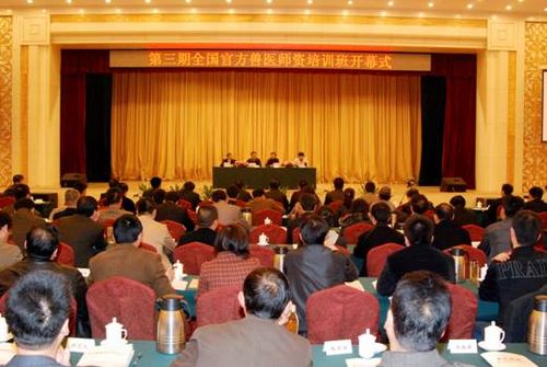 点击图片可在新窗口打开